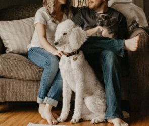Pet parents admit to spending a lot of money on their fur babies