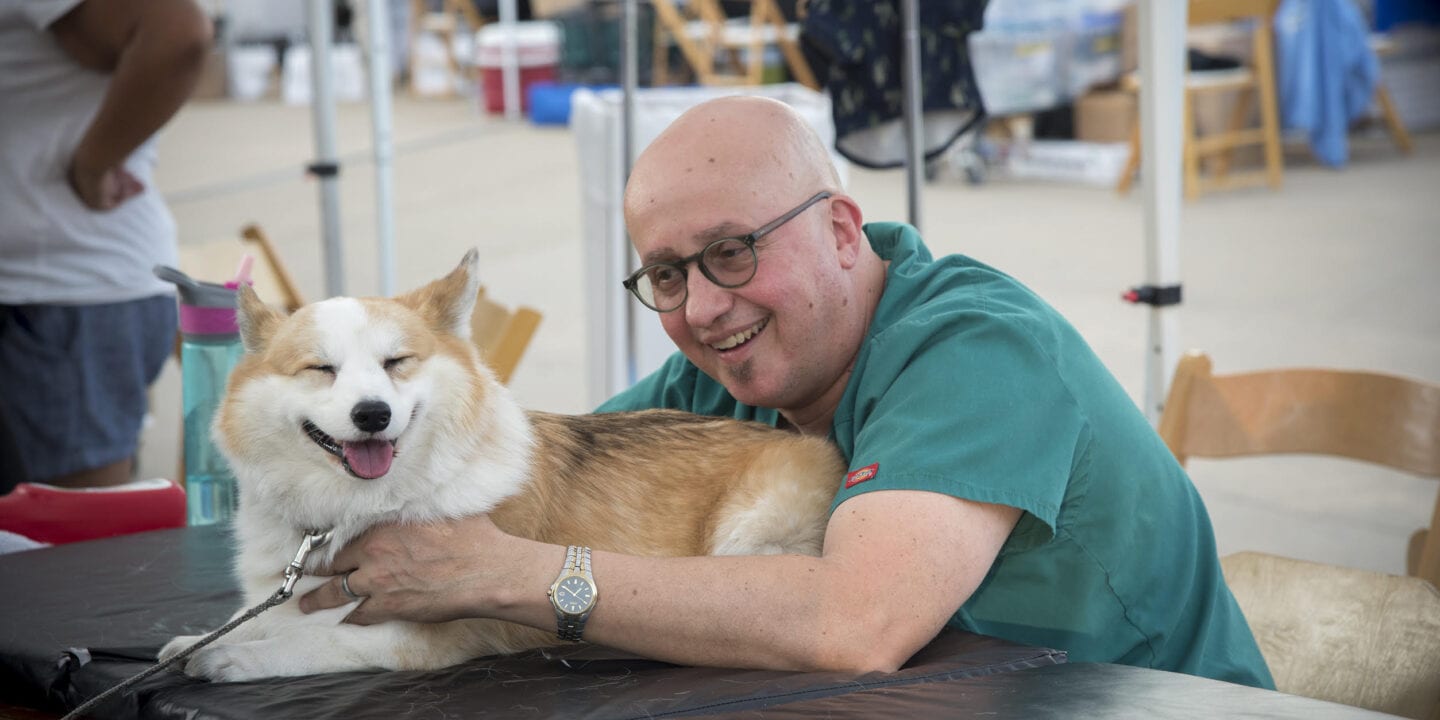 Yes Canine Massage Therapy is a Bona Fide Thing!