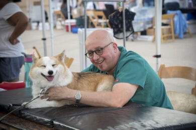 Yes Canine Massage Therapy is a Bona Fide Thing!